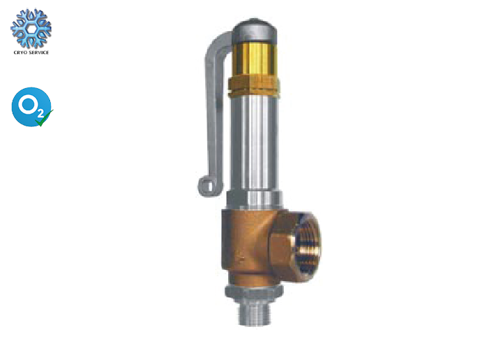 Kryogen sikkerhedsventil (06416)